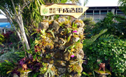 平成造園の看板がある植栽