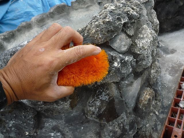 琉球石灰岩の鉢にもう一手間