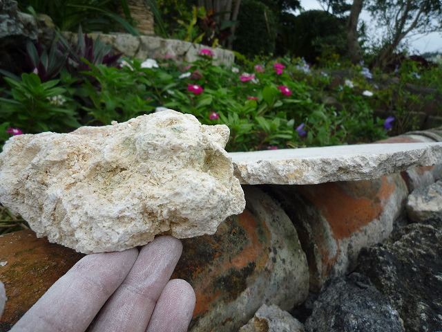 琉球石灰岩