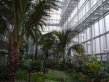 花王エコラボミュージアム・植物バイオマス研究棟