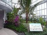 花王エコラボミュージアム・植物バイオマス研究棟