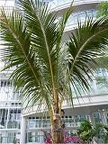 花王エコラボミュージアム・植物バイオマス研究棟