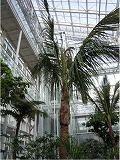 花王エコラボミュージアム・植物バイオマス研究棟