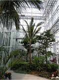 花王エコラボミュージアム・植物バイオマス研究棟