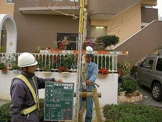 平成22年度那覇市街路樹補植工事　出来形