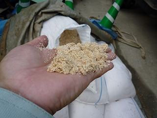 商品ディスプレイ用タコノキ出荷　沖縄特有の砂