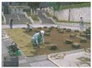 那覇市泉崎・県民広場芝生張替工事　施工中