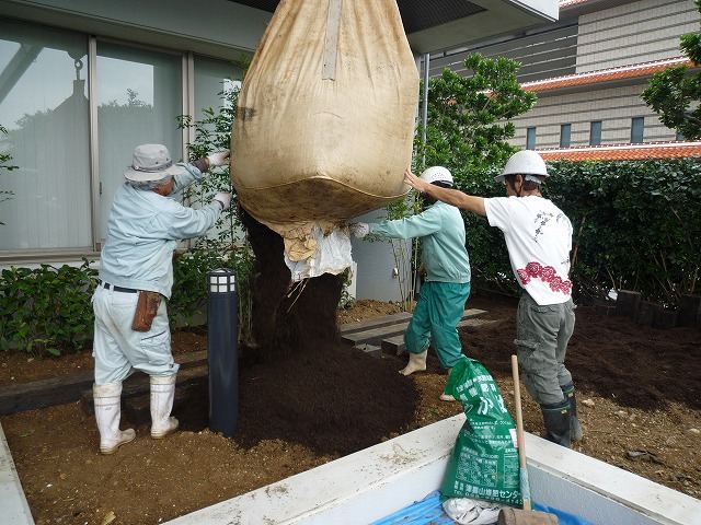 那覇新都心メディアビル　前庭の土入れ替え