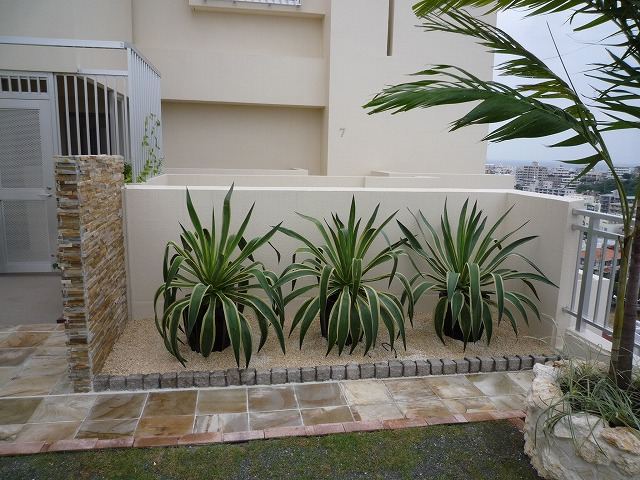 浦添市　M氏邸　屋上庭園