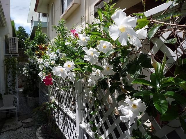 浦添市　T氏邸　フラワーガーデン
