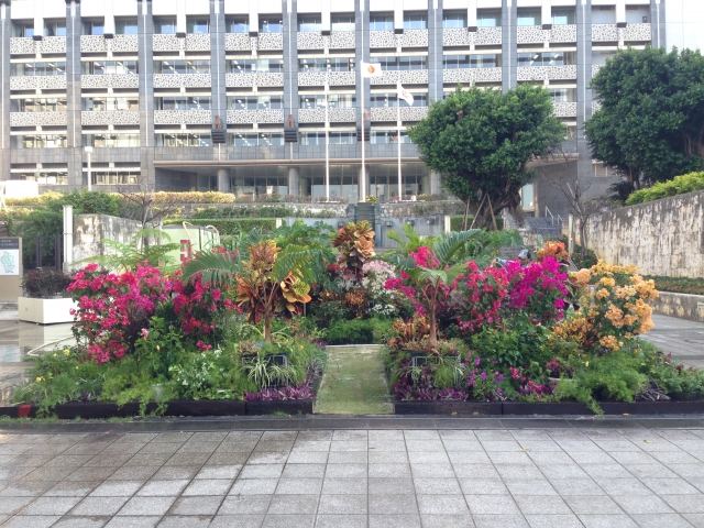 沖縄県庁前 県民広場の植栽ディスプレイ