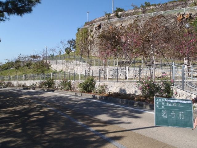 那覇市首里寒川町内フクギ植栽の写真