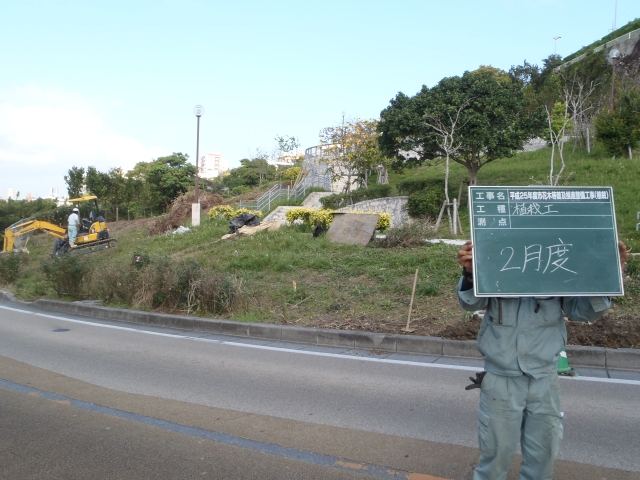 那覇市首里寒川町内フクギ植栽の写真
