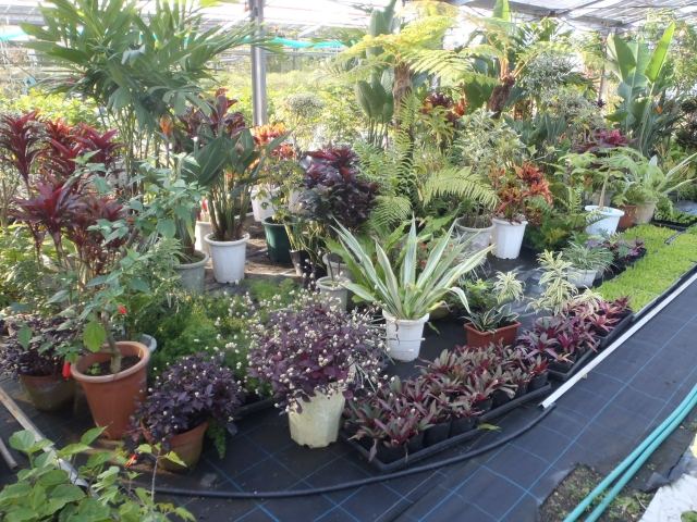小野建（株）沖縄県中部倉庫前植栽着工の写真