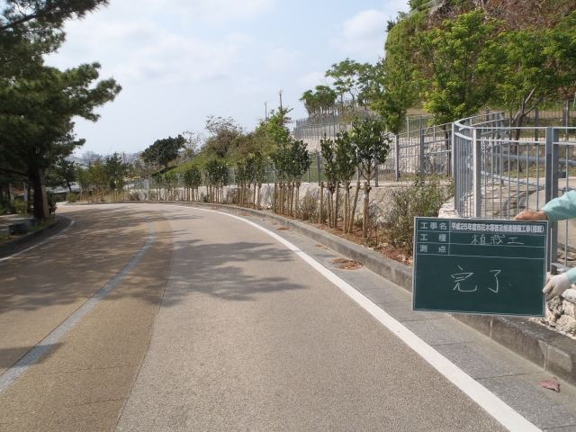 那覇市首里寒川町内フクギ植栽の写真