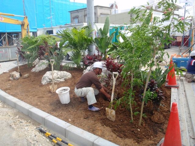 小野建（株）沖縄県中部倉庫前植栽竣工の写真