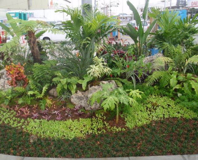 小野建（株）沖縄県中部倉庫前植栽竣工の写真