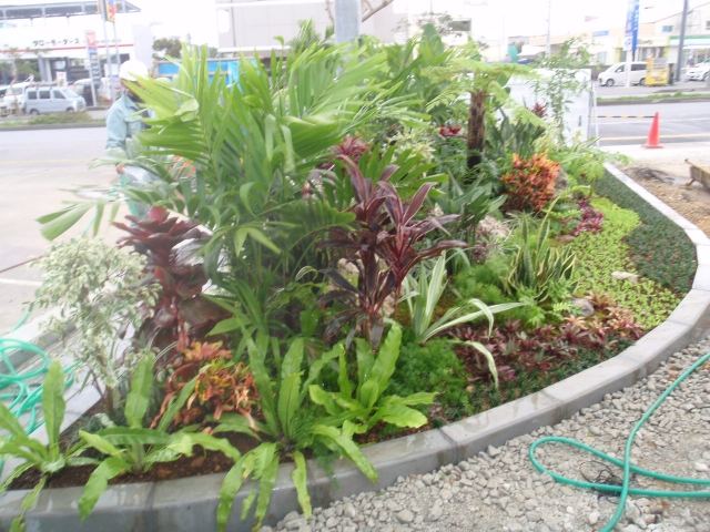 小野建（株）沖縄県中部倉庫前植栽竣工の写真
