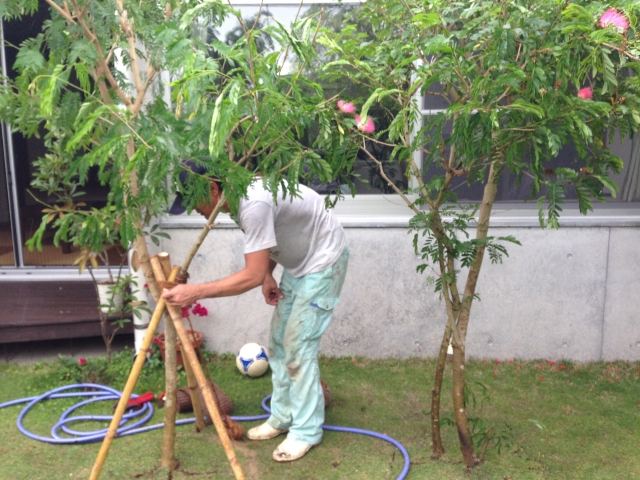 西原町S氏邸 スリナムゴウカン・トックリヤシ植栽施工の写真