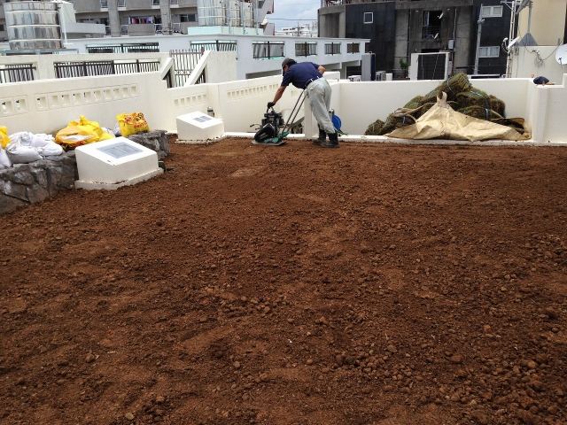 沖縄市Gクリニック屋上緑化（芝張）　《施工中》の写真