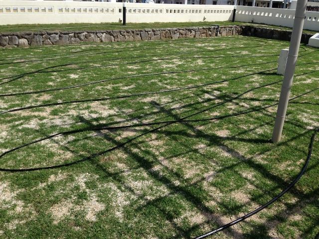 沖縄市Gクリニック屋上緑化（芝張）　《完了》の写真