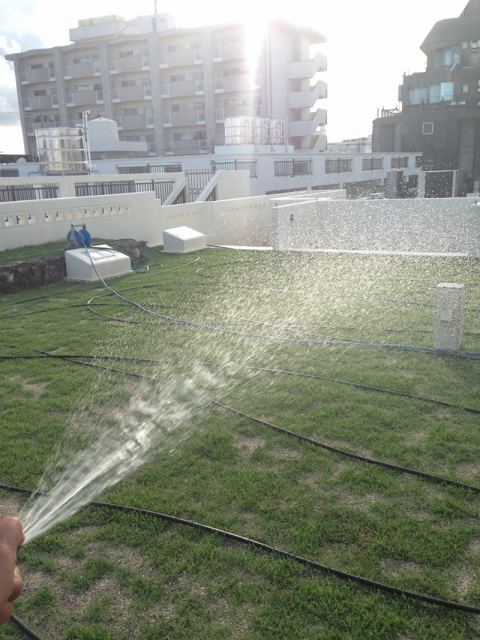 沖縄市Gクリニック屋上緑化（芝張）　《完了》の写真