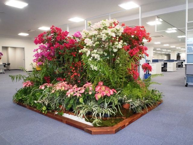 新社屋竣工式　御祝室内ディスプレイの写真