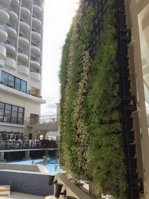 那覇市HOTEL　壁面緑化の写真