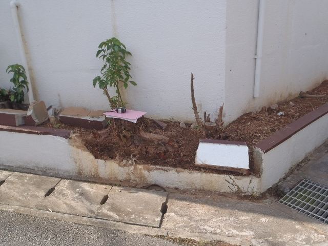 那覇市　N氏邸　ブロック補修・芝張の写真