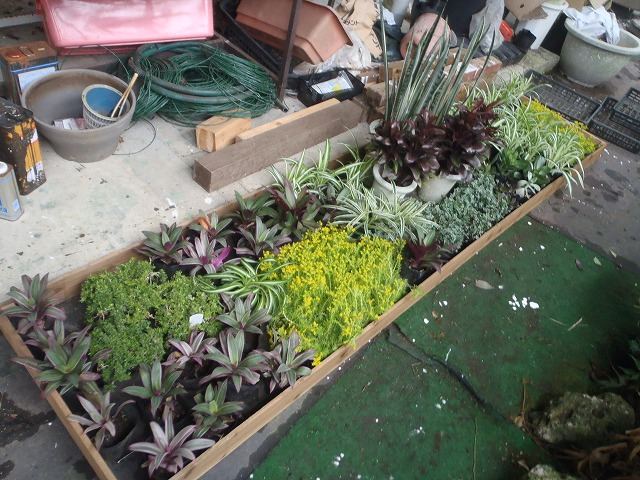 北谷町 店舗前植栽の写真