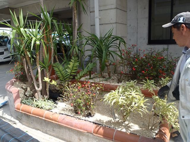 北谷町 店舗前植栽の写真