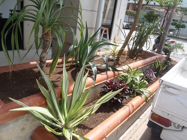 北谷町 店舗前植栽の写真