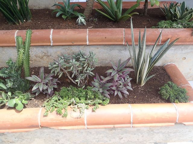 北谷町　店舗前植栽の写真