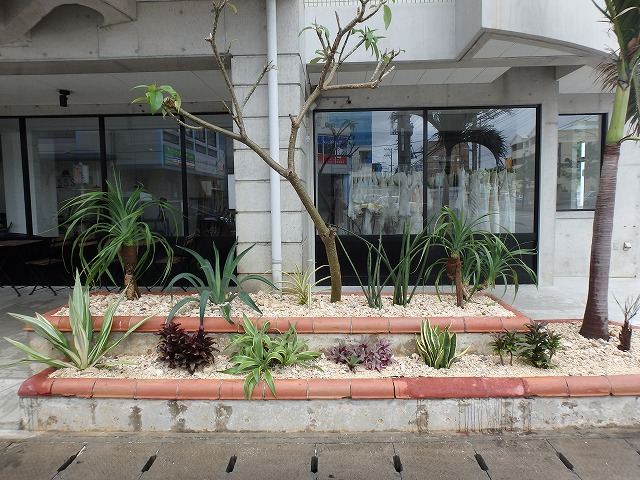 北谷町 店舗前植栽の写真