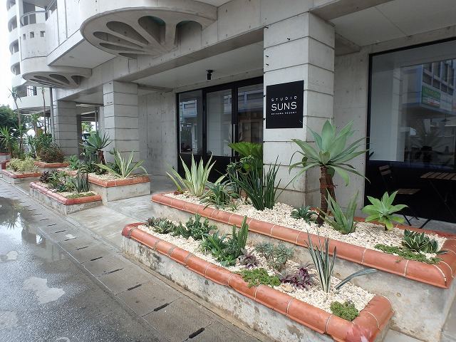 北谷町 店舗前植栽の写真