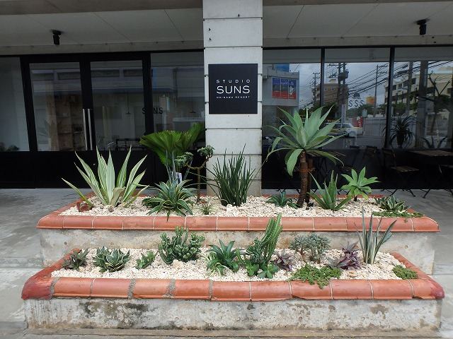 北谷町 店舗前植栽の写真