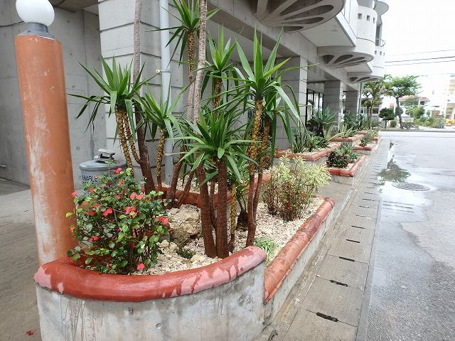 北谷町 店舗前植栽の写真