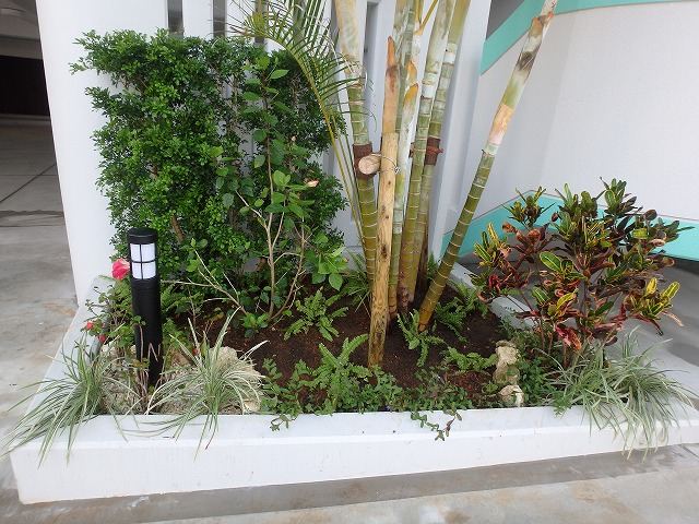 那覇市国場　マンション　植栽工事の写真