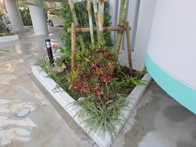 那覇市国場　マンション　植栽工事の写真