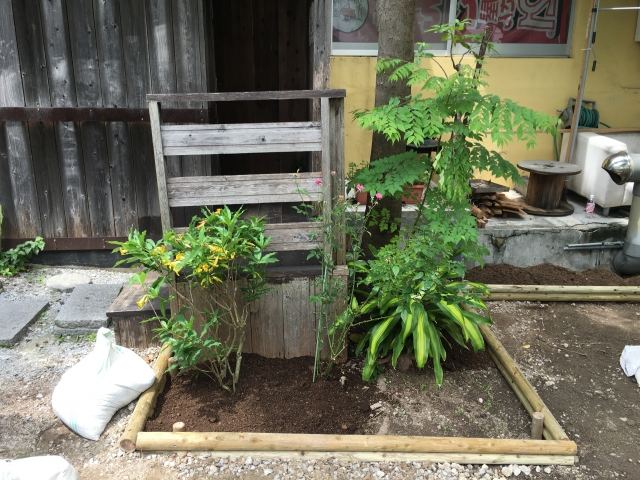 那覇市久茂地 Aビル 植栽工事の写真