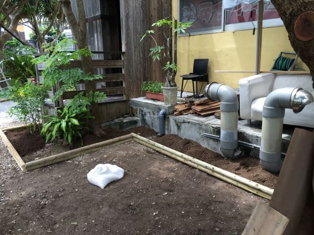 那覇市久茂地 Aビル 植栽工事の写真