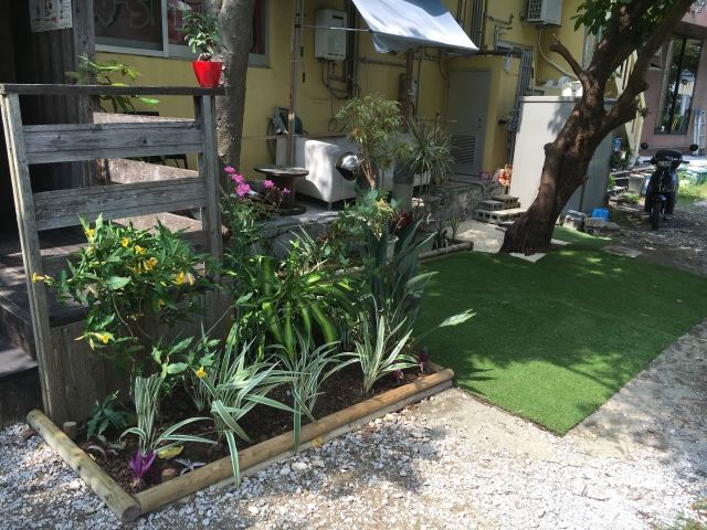 那覇市久茂地 Aビル 植栽工事の写真