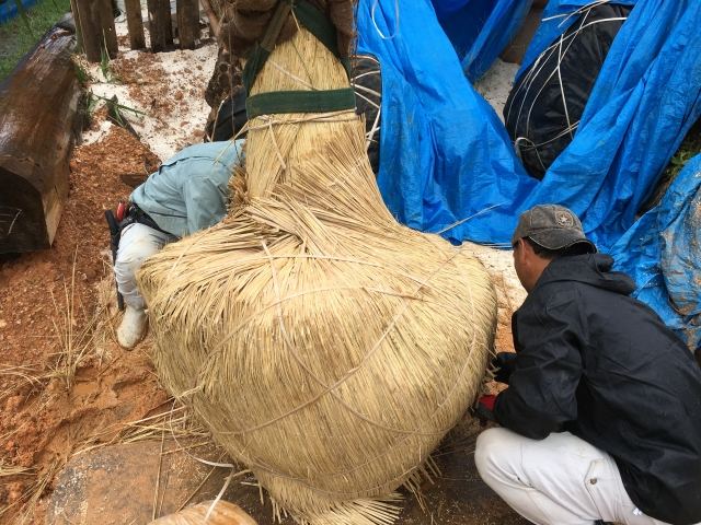 本土への樹木輸送業務(その1)の写真