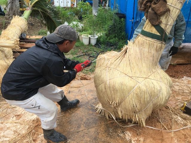本土への樹木輸送業務(その1)の写真