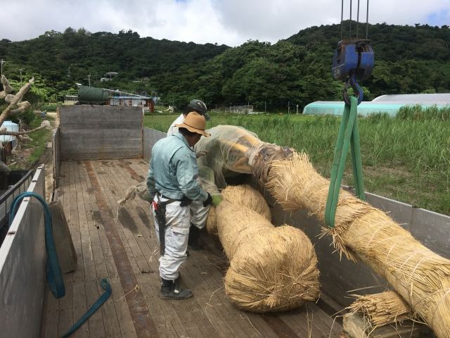 本土への樹木輸送業務(その1)の写真
