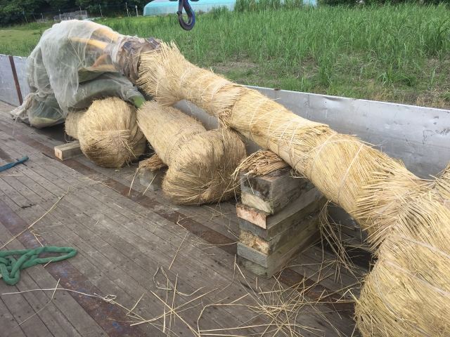 本土への樹木輸送業務(その1)の写真