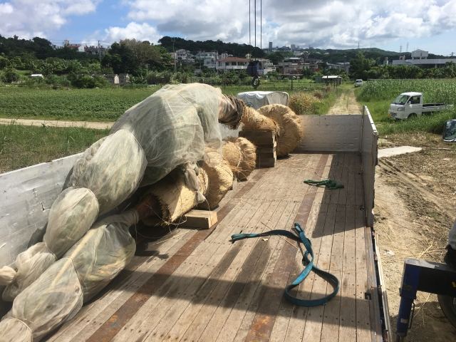 本土への樹木輸送業務(その1)の写真