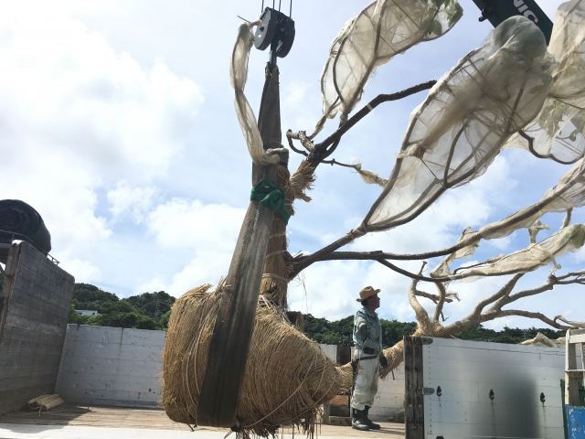 本土への樹木輸送業務(その1)の写真