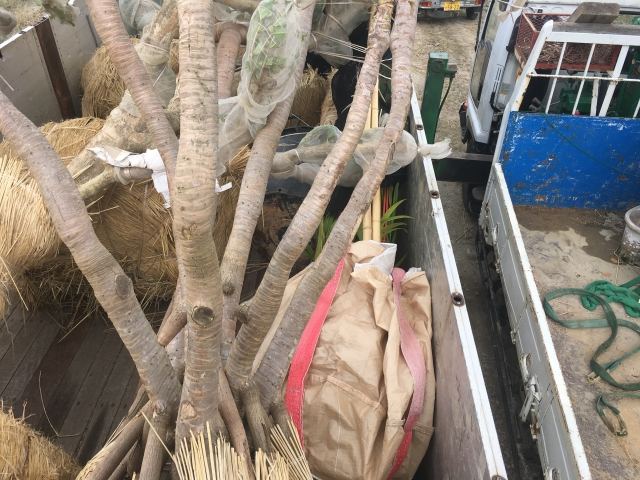 本土への樹木輸送業務(その1)の写真